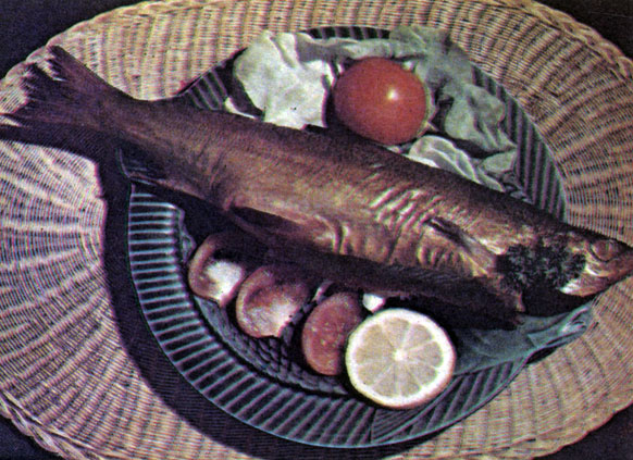 Рис. 9. Копченый сиг - блюдо, распространенное в предгорьях Альп (фото К. Н. Zeitler)