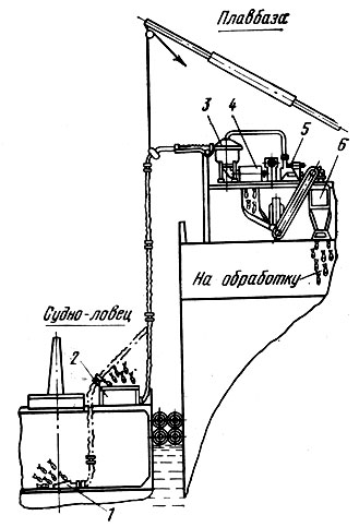 Рис. 20. Схема пневматического устройства для перегрузки рыбы: 1 - сопло; 2 - приемный бункер; 3 - отделитель; 4 - барабанно-камерный затвор; 5 - блок воздуходувок; 6 - мерное устройство