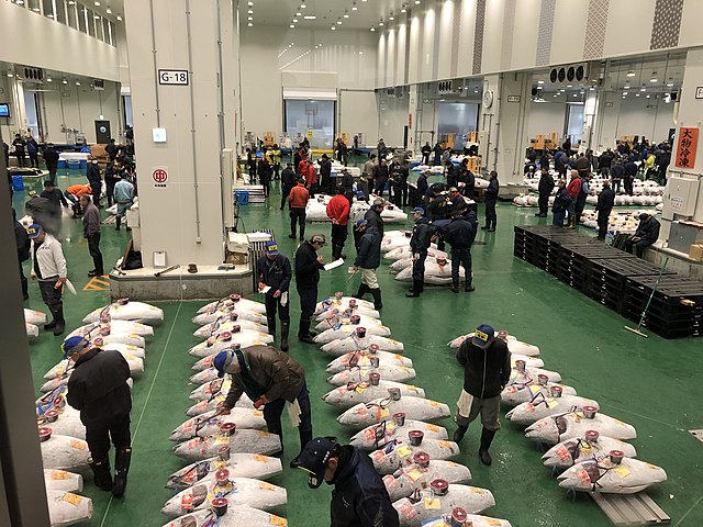 Оптовая продажа замороженного тунца на японском рыбном рынке Тоёсу в Токио: https://ru.wikipedia.org/wiki/Рынок_Тоёсу#/media/Файл:Toshimashijyo_maguroseri01.jpg