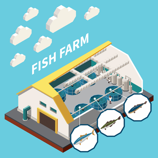 https://ru.freepik.com/free-vector/industrial-seafood-fish-farm-indoor-aquaculture-facility-isometric-interior-view-with-cutout-roof-wall-sections-vector-illustration_26761651.htm#fromView=search&page=8&position=37&uuid=fb0b4192-a0a1-4758-b8de-248e31ef28b6&query=fish+market